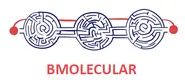 Logo Biomolecular